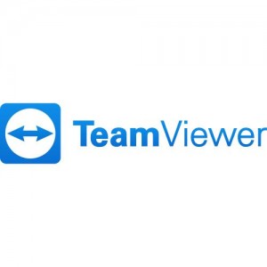 Teamviewer Corporate Subscription For Government With One AOC 1 Year